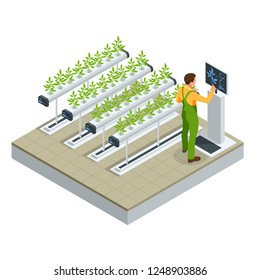 Isometric modern smart industrial greenhouse. Artificial intelligence robots in agricultural. Organic food, agriculture and hydroponic conccept.