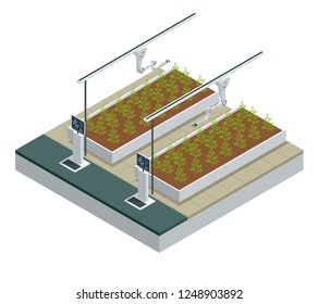 Isometric modern smart industrial greenhouse. Artificial intelligence robots in agricultural. Organic food, agriculture and hydroponic conccept.