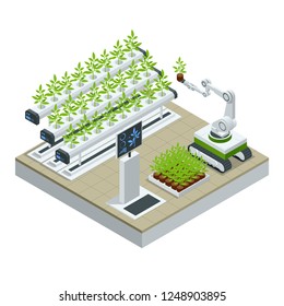 Isometric modern smart industrial greenhouse. Artificial intelligence robots in agricultural. Organic food, agriculture and hydroponic conccept.