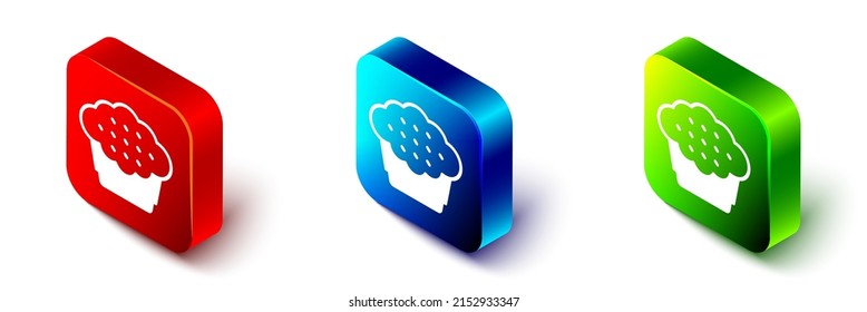 Isometric Muffin icon isolated on white background. Red, blue and green square button. Vector