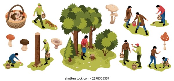 Isometric mushroom pickers forest set of isolated icons with baskets trees and people searching for mushrooms vector illustration