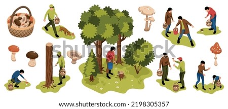 Isometric mushroom pickers forest set of isolated icons with baskets trees and people searching for mushrooms vector illustration