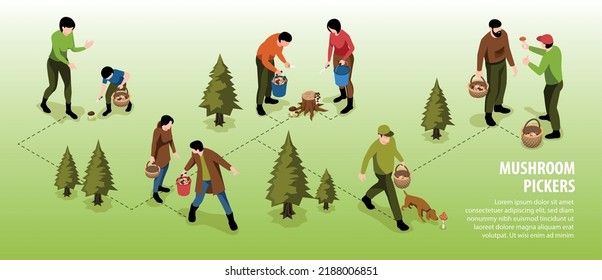 Isometric mushroom pickers horizontal background with infographics editable text and flowchart of human characters among trees vector illustration