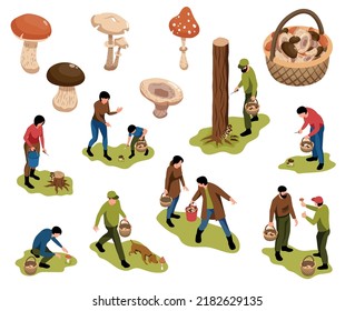 Isometric mushroom pickers set of isolated icons with single mushrooms wooden basket and people forest activities vector illustration