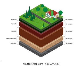 Isometric named layers of soil with a top layer of green grass,  house, forest, garden and road on it. The stratum of organic, minerals, sand, clay.