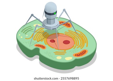 Isometric nanorobot is designed to interact with cellular structures. Repair damaged parts of a cell, remove undesirable elements, viruses or mutations, and deliver medications directly into the cell.