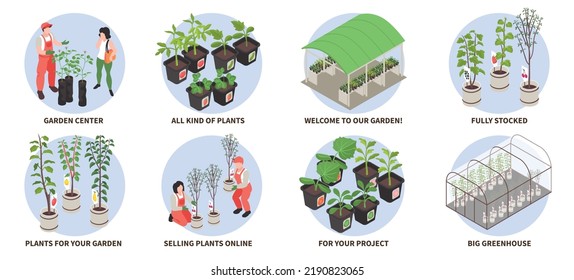 Isometric nursery garden icons set with gardeners and plants in greenhouse isolated vector illustration