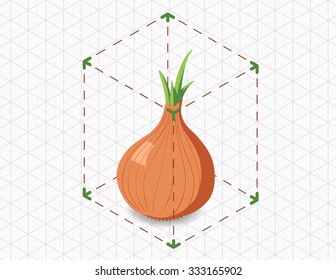 isometric onion in bounding box