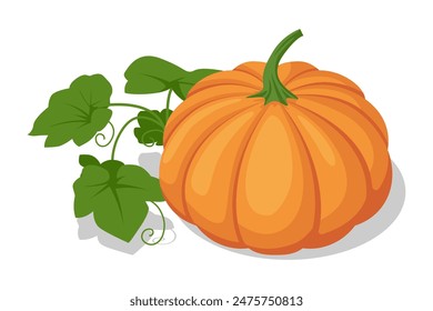 Isometric Orange Pumpkin. Pumpkin, a vibrant orange food, is rich in vitamins and fiber. Commonly used in cooking, it lends its sweet flavor and creamy texture to soups, pies, and baked goods.