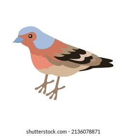 Isometric ornithologist isometric composition with isolated image of sparrow bird vector illustration