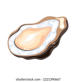 Isometric oyster icon on blank background 3d vector illustration