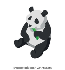 Isometric panda eating bamboo 3d vector illustration