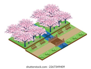 Isometric park strewn with cherry blossom petals with a bridge and a river. vector illustration.japan.