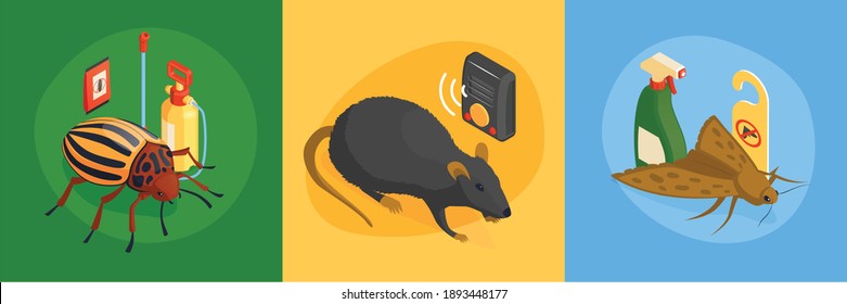 Isometric pest control design concept with square compositions set of vermins and destroying products chemical detergents vector illustration