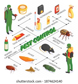 Composición del diagrama de flujo de control de plagas isométrico con pulverizadores de productos de desinsección y pegamento con vermines de desinfectadores e ilustración de vectores de texto