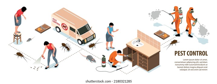 Isometric pest control house desinfección infografías con insectos de trabajadores y roedores 3d ilustración vectorial