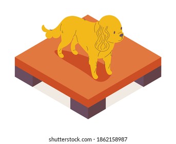 Isometric pet character isolated on white. Vector 3d pause table and dog standing on the top