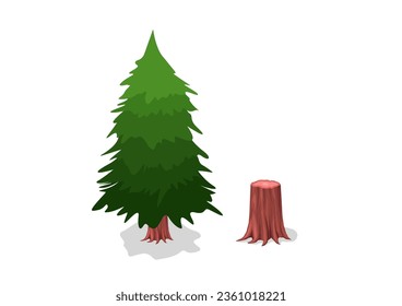 isometric pine tree isolated on white background