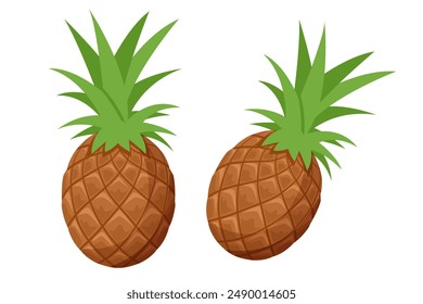 Isometric Pineapple is a tropical fruit with a rough, spiky skin and sweet, juicy flesh. Tasty raw whole tropical fruit, healthy nutrition concept