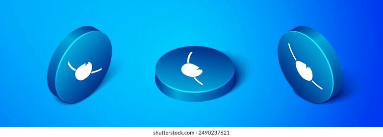 Isometric Pirate eye patch icon isolated on blue background. Pirate accessory. Blue circle button. Vector