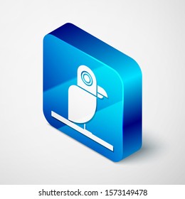 Isometric Pirate parrot icon isolated on white background. Blue square button. Vector Illustration