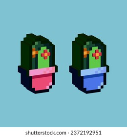 Isometric Pixel art 3d of cactus plant for items asset.Green cactus plant on pixelated style.8bits perfect for game asset or design asset element for your game design asset.