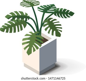 Isometric plant in a concrete planter. Indoor and outdoor design element.

