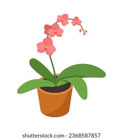 Isometric plant in flowerpot concept. Tropical and exotic pink flower. Element of decor and interior. Template, layout and mock up. Cartoon 3D vector illustration isolated on white background