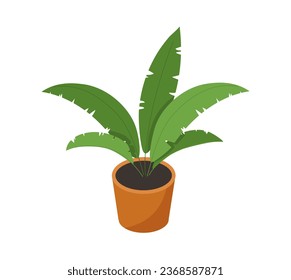 Isometric plant in flowerpot concept. Tropical and exotic leaves. Element of decor and interior. Comfort and coziness. Cartoon 3D vector illustration isolated on white background