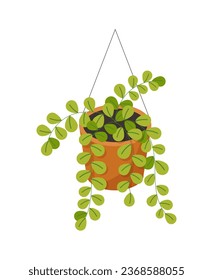 Isometric plant in flowerpot concept. Tropical and exotic flower. Comfort and coziness. Sticker for social networks and messengers. Cartoon 3D vector illustration isolated on white background