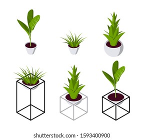 Isometric Plant In Scandinavian Interior. Set Of Potted Flowers Icons In Flat Style For Hygge Designs. Vector Illustration Isolated On A White Background.