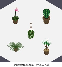 Isometric Plant Set Of Plant, Grower, Peyote And Other Vector Objects. Also Includes Peyote, Flower, Cactus Elements.