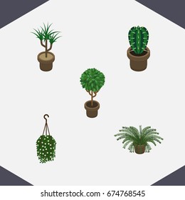 Isometric Plant Set Of Plant, Houseplant, Blossom And Other Vector Objects. Also Includes Pot, Hanging, Flower Elements.