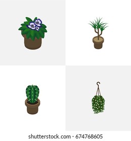 Isometric Plant Set Of Peyote, Flowerpot, Houseplant And Other Vector Objects. Also Includes Plant, Peyote, Cactus Elements.