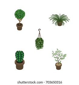 Isometric Plant Set Of Tree, Blossom, Fern And Other Vector Objects. Also Includes Blossom, Flower, Peyote Elements.