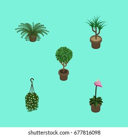 Isometric Plant Set Of Plant, Tree, Grower And Other Vector Objects. Also Includes Fern, Plant, Flowerpot Elements.
