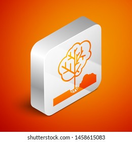 Isometric Planting a tree in the ground icon isolated on orange background. Gardening, agriculture, caring for environment. Silver square button. Vector Illustration