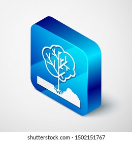 Isometric Planting a tree in the ground icon isolated on white background. Gardening, agriculture, caring for environment. Blue square button. Vector Illustration