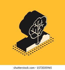 Isometric Planting a tree in the ground icon isolated on yellow background. Gardening, agriculture, caring for environment.  Vector Illustration