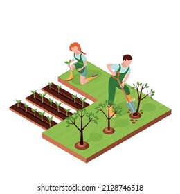 Isometric. Planting trees and plants in spring. The girl plants seedlings, the gardener plants a fruit tree.