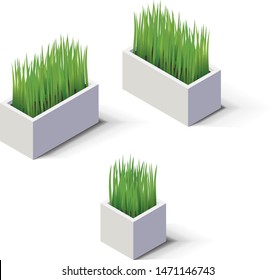 Isometric Plants In A Concrete Planter. Indoor And Outdoor Design Element.