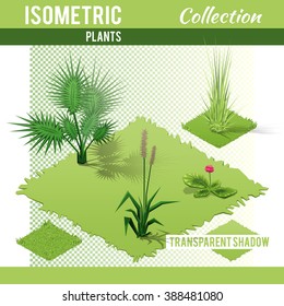 Isometric plants and grass  with transparent shadow for landscape design