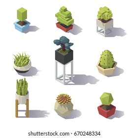 Isometric Plants on white background. Vector low poly illustration.