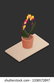 Isometric plants in pot on table. 3d plants for design of a living room or office. Vector illustration.