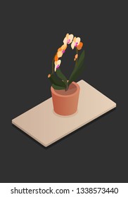 Isometric plants in pot on table. 3d plants for design of a living room or office. Vector illustration.