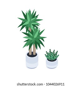 Isometric plants in pots are isolated on white background. 3d plants for design of a living room or office. Vector illustration.