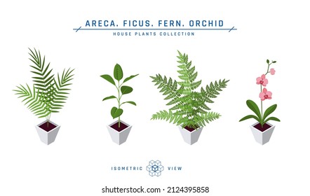 Plantas isométricas de maceta de estilo plano. Iconos de arreca, ficus, helecho y orquídeas para diseños interiores. Ilustración vectorial aislada en un fondo blanco.