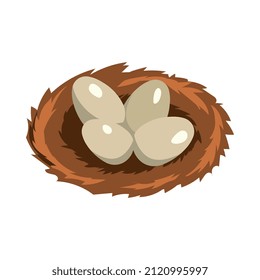 Isometrische Geflügelzuchtzusammensetzung mit Einzelbild Nest mit Eiern, Vektorgrafik