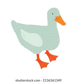 Isometric poultry farm chicken composition with isolated image of duck vector illustration