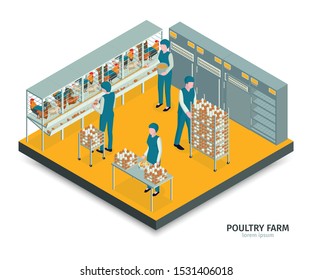 Isometric poultry farm composition with text and indoor view with workers gathering eggs into cabinet racks vector illustration